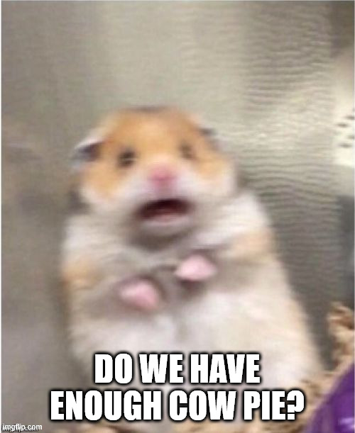 DO WE HAVE ENOUGH COW PIE? | image tagged in scared hamster | made w/ Imgflip meme maker