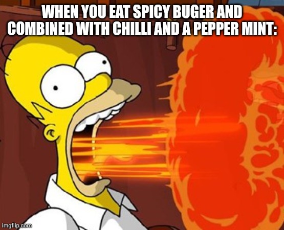 Mouth on fire | WHEN YOU EAT SPICY BUGER AND COMBINED WITH CHILLI AND A PEPPER MINT: | image tagged in mouth on fire | made w/ Imgflip meme maker