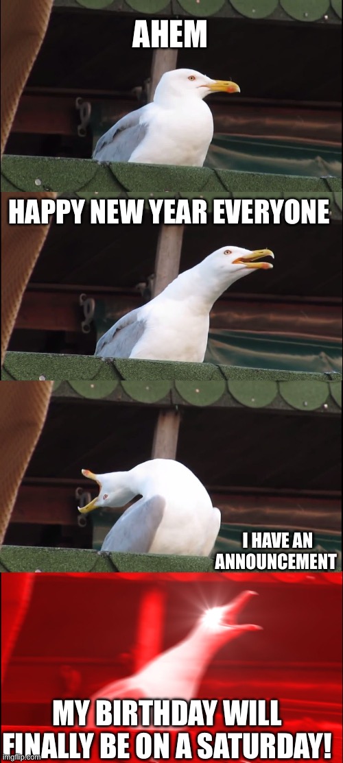 Funny birthday announcement | AHEM; HAPPY NEW YEAR EVERYONE; I HAVE AN ANNOUNCEMENT; MY BIRTHDAY WILL FINALLY BE ON A SATURDAY! | image tagged in memes,inhaling seagull | made w/ Imgflip meme maker