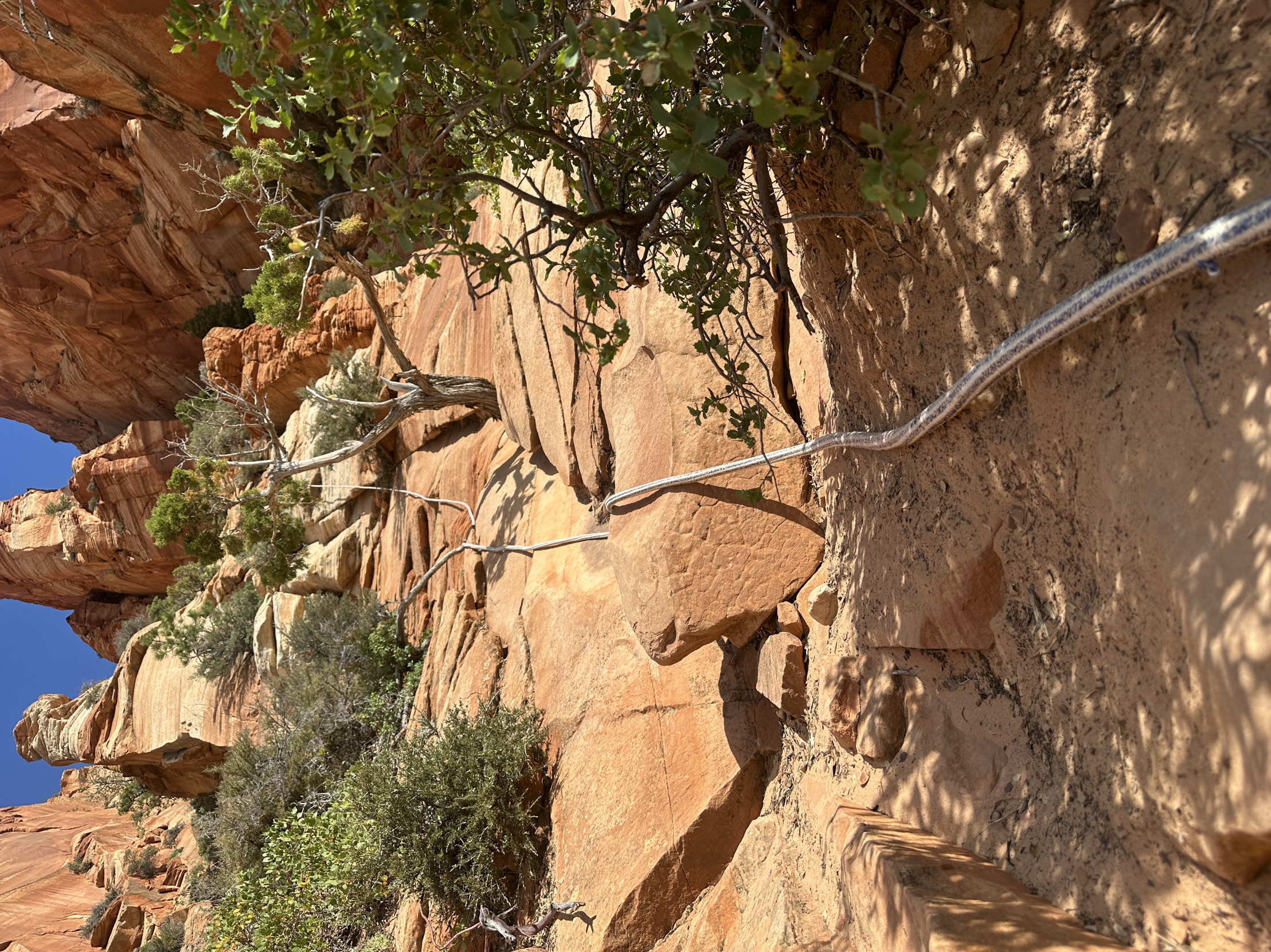 El Cap AZ Blank Meme Template