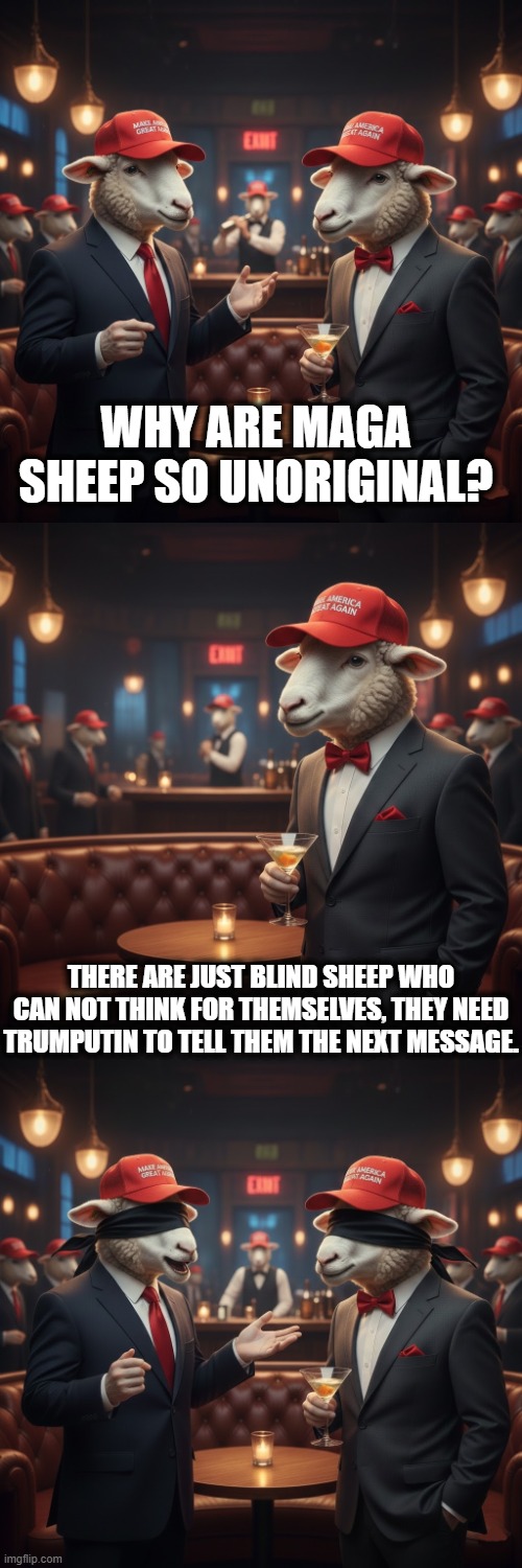 THE TRUMPUTIN NEW YEAR MESSAGE | WHY ARE MAGA SHEEP SO UNORIGINAL? THERE ARE JUST BLIND SHEEP WHO CAN NOT THINK FOR THEMSELVES, THEY NEED TRUMPUTIN TO TELL THEM THE NEXT MESSAGE. | image tagged in trump,putin,maga,leonardo dicaprio wolf of wall street,leonardo dicaprio cheers,leonardo dicaprio | made w/ Imgflip meme maker