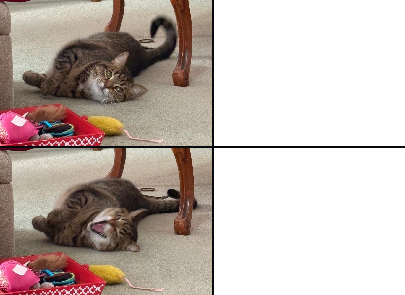 Sunny Dislike Blank Meme Template