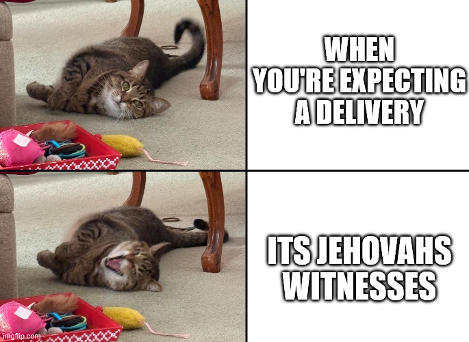The Perils of Online Shopping | WHEN YOU'RE EXPECTING A DELIVERY; ITS JEHOVAHS WITNESSES | image tagged in sunny dislike | made w/ Imgflip meme maker