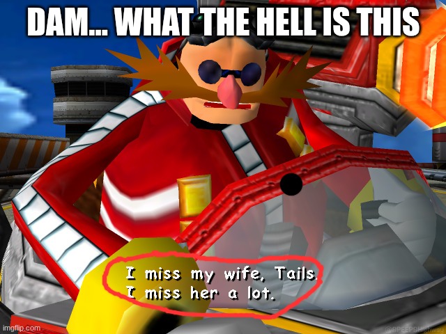 temp make me sad | DAM... WHAT THE HELL IS THIS | image tagged in i miss my wife tails | made w/ Imgflip meme maker