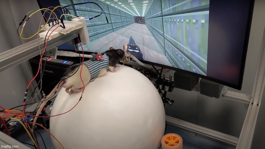 chat rate my setup | made w/ Imgflip meme maker