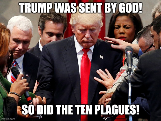 Sent by God! | TRUMP WAS SENT BY GOD! SO DID THE TEN PLAGUES! | image tagged in trump,donald trump,maga,nevertrump,evangelicals,conservative | made w/ Imgflip meme maker