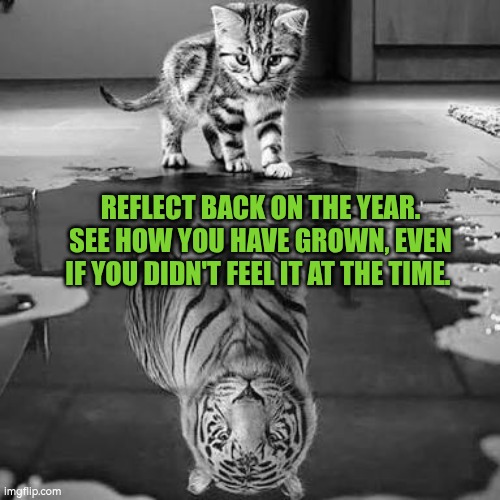 Reflect back on the year. See how you have grown, even if you didn't feel it at the time. | REFLECT BACK ON THE YEAR.
SEE HOW YOU HAVE GROWN, EVEN IF YOU DIDN'T FEEL IT AT THE TIME. | image tagged in reflection,growth,autism,development,feelings,emotions | made w/ Imgflip meme maker