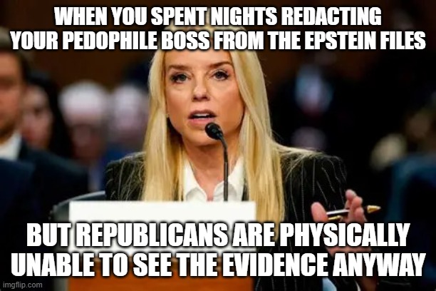 MAGA don't give a shit that Trump is a r*pist pedophile | WHEN YOU SPENT NIGHTS REDACTING YOUR PEDOPHILE BOSS FROM THE EPSTEIN FILES; BUT REPUBLICANS ARE PHYSICALLY UNABLE TO SEE THE EVIDENCE ANYWAY | image tagged in pam bondi,maga,donald trump,pedophile,epstein,jeffrey epstein | made w/ Imgflip meme maker