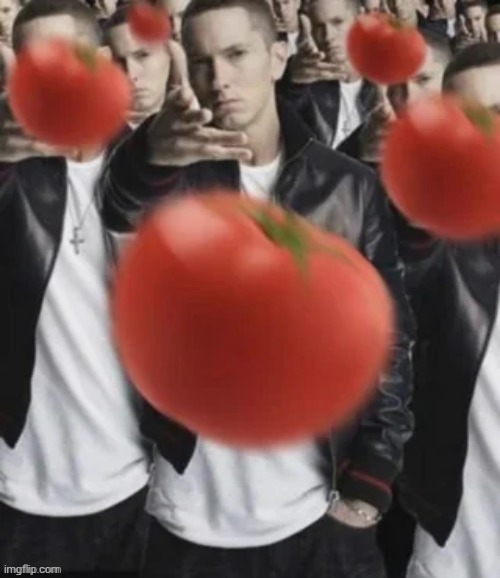 image tagged in boooooo let s throw tomatoes at vro | made w/ Imgflip meme maker