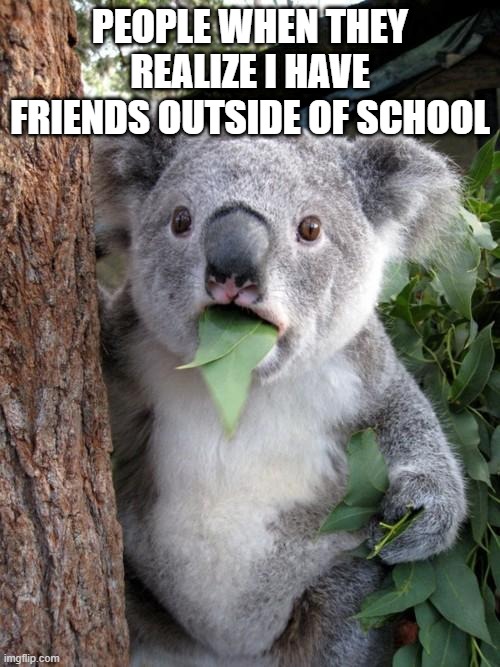 Wait How do you know him - he's not even from our school?! | PEOPLE WHEN THEY REALIZE I HAVE FRIENDS OUTSIDE OF SCHOOL | image tagged in memes,surprised koala,school,friends,funny,relatable | made w/ Imgflip meme maker