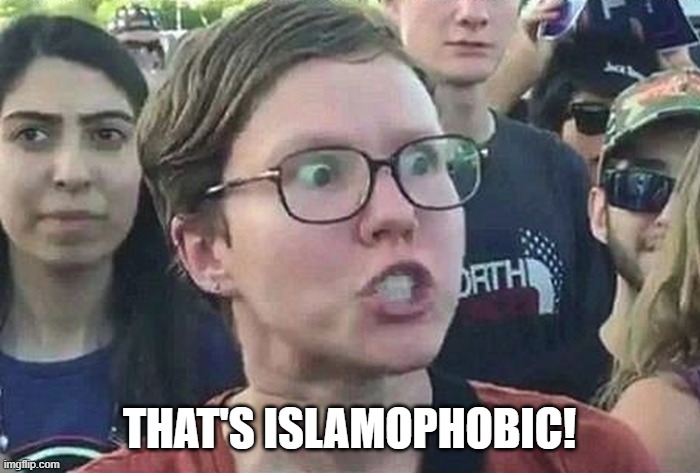 Triggered Liberal | THAT'S ISLAMOPHOBIC! | image tagged in triggered liberal | made w/ Imgflip meme maker