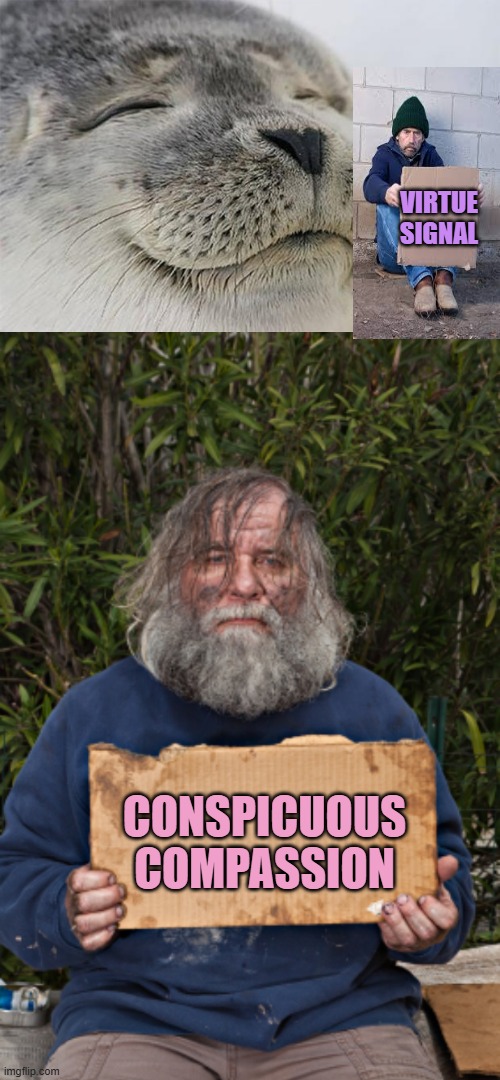 VIRTUE
SIGNAL; CONSPICUOUS
COMPASSION | image tagged in memes,satisfied seal,blak homeless sign | made w/ Imgflip meme maker