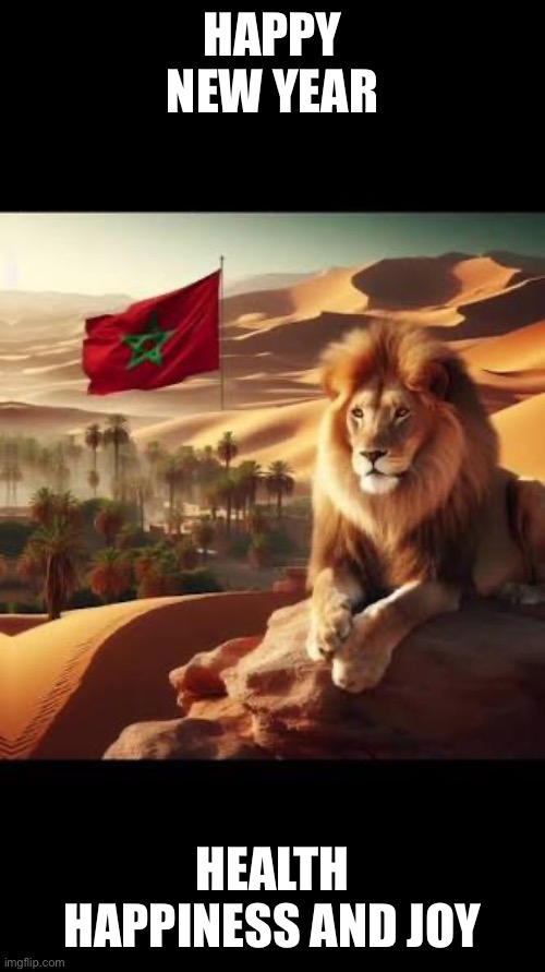 happy new year | HAPPY NEW YEAR; HEALTH HAPPINESS AND JOY | image tagged in happy new year | made w/ Imgflip meme maker