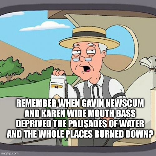 Pepperidge Farm Remembers Meme | REMEMBER WHEN GAVIN NEWSCUM AND KAREN WIDE MOUTH BASS DEPRIVED THE PALISADES OF WATER AND THE WHOLE PLACES BURNED DOWN? | image tagged in memes,pepperidge farm remembers | made w/ Imgflip meme maker