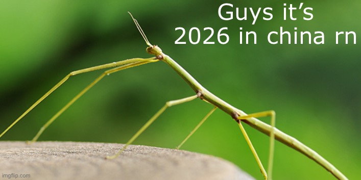 :0 | Guys it’s 2026 in china rn | image tagged in thewalkingstick template | made w/ Imgflip meme maker