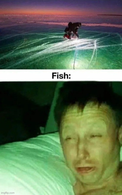 Blinding lights Blank Meme Template