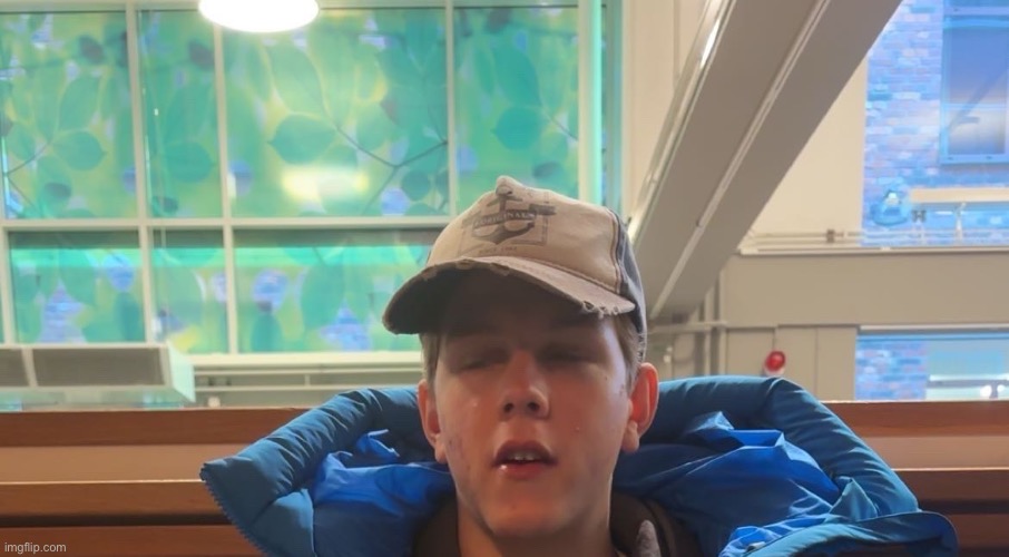 Absolute myggan | image tagged in absolute cinema | made w/ Imgflip meme maker