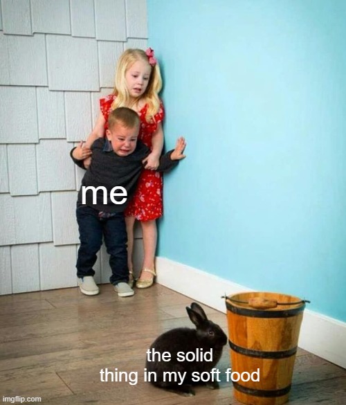 Children scared of rabbit | me; the solid thing in my soft food | image tagged in children scared of rabbit | made w/ Imgflip meme maker