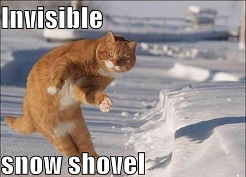 Cat Shovelling Invisible Snow Blank Meme Template
