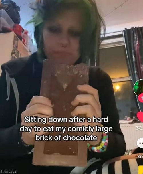 Eating a comically large brick of chocolate out in nature to understand how a beaver feels gnawing on tree bark | made w/ Imgflip meme maker