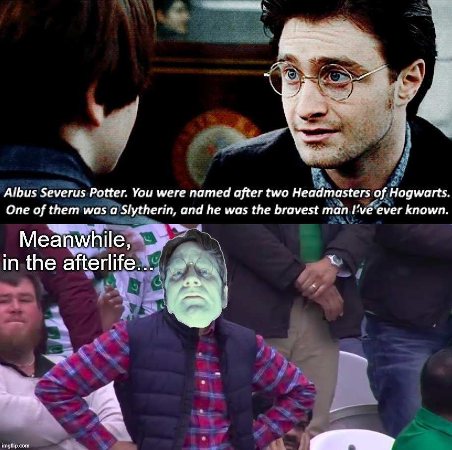 Unhappy James Potter | Meanwhile, 
in the afterlife... | image tagged in albus severus potter,james potter,harry potter | made w/ Imgflip meme maker