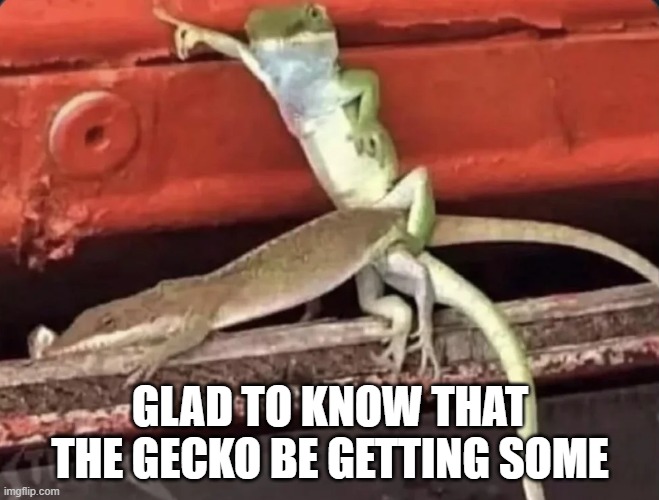 Gecko | GLAD TO KNOW THAT THE GECKO BE GETTING SOME | image tagged in sex jokes | made w/ Imgflip meme maker