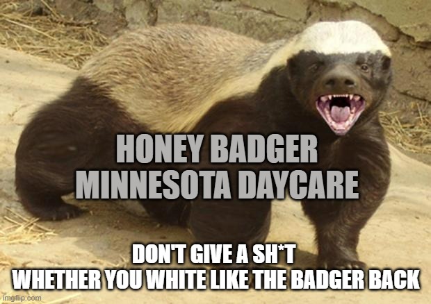 Honey badger | HONEY BADGER 
MINNESOTA DAYCARE DON'T GIVE A SH*T 
WHETHER YOU WHITE LIKE THE BADGER BACK | image tagged in honey badger | made w/ Imgflip meme maker