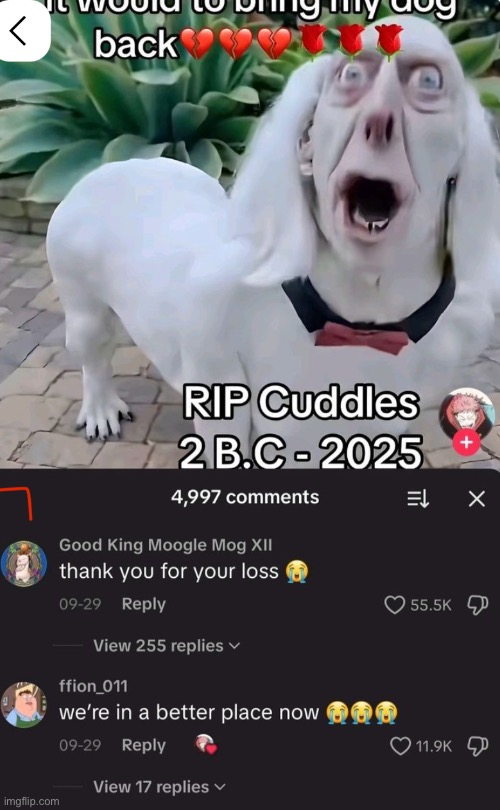 Bring my dawg back ?? | image tagged in memes,dog | made w/ Imgflip meme maker