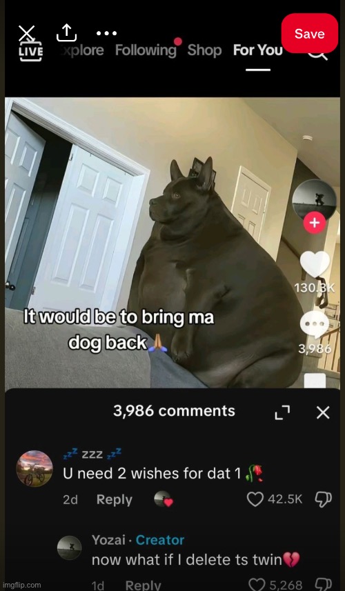 Bring my dawg back part 2 ? | image tagged in funny memes,dog | made w/ Imgflip meme maker