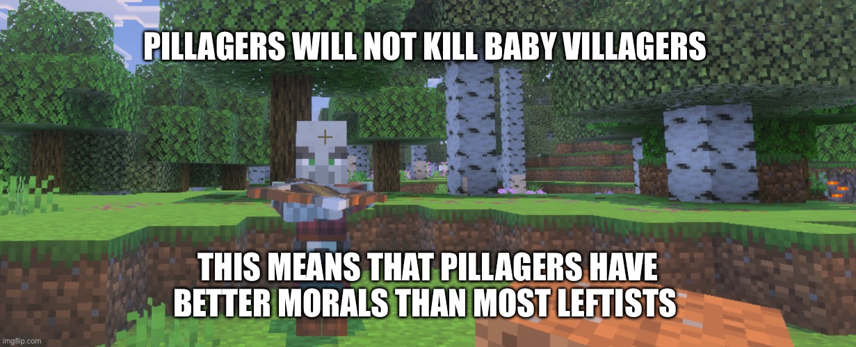 They only kill adult villagers | PILLAGERS WILL NOT KILL BABY VILLAGERS; THIS MEANS THAT PILLAGERS HAVE BETTER MORALS THAN MOST LEFTISTS | image tagged in minecraft,pro life,politics,gaming,funny | made w/ Imgflip meme maker
