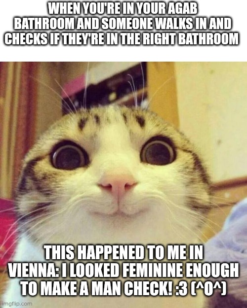 It's so euphoric! | WHEN YOU'RE IN YOUR AGAB BATHROOM AND SOMEONE WALKS IN AND CHECKS IF THEY'RE IN THE RIGHT BATHROOM; THIS HAPPENED TO ME IN VIENNA: I LOOKED FEMININE ENOUGH TO MAKE A MAN CHECK! :3 (^O^) | image tagged in memes,smiling cat,bathroom | made w/ Imgflip meme maker