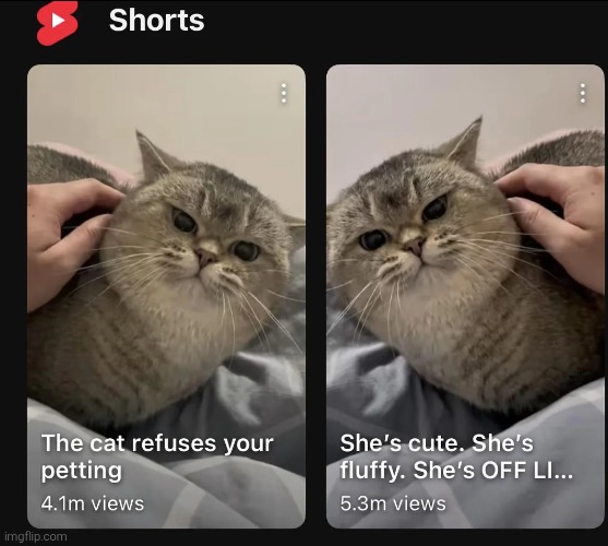 Is this a w screenshot? | made w/ Imgflip meme maker