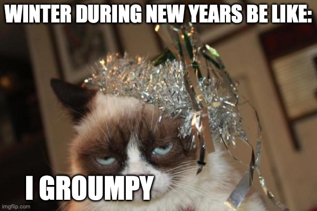 Winter Be Groumpy | WINTER DURING NEW YEARS BE LIKE:; I GROUMPY | image tagged in grumpy cat new years | made w/ Imgflip meme maker