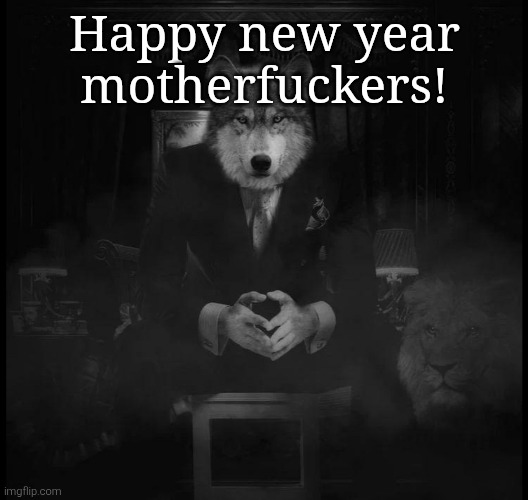 Wolf on a chair | Happy new year motherfuckers! | image tagged in wolf on a chair | made w/ Imgflip meme maker