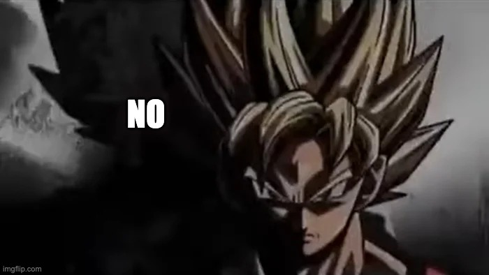 NO | image tagged in goku staring | made w/ Imgflip meme maker
