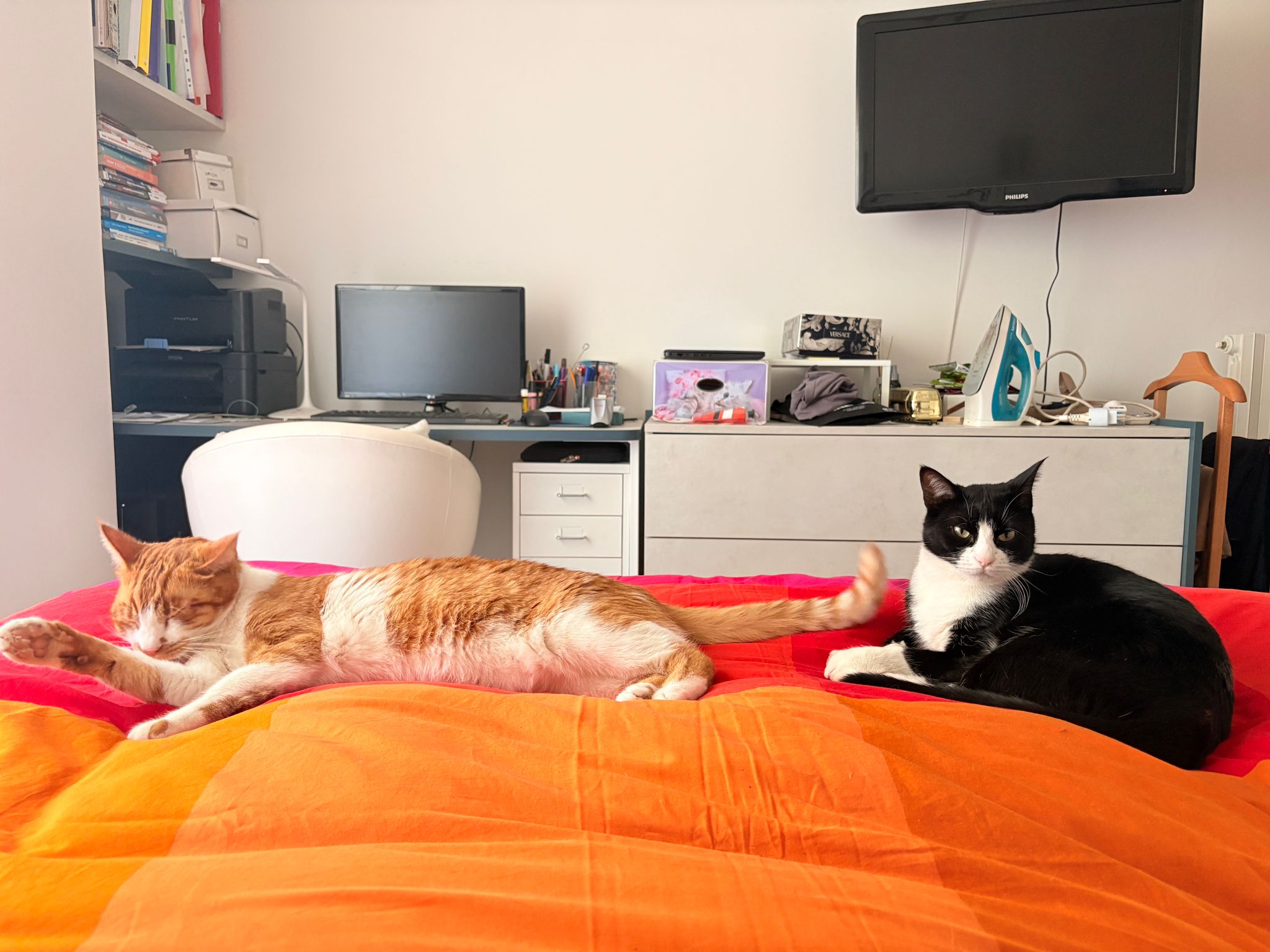 Bob e Willy Blank Meme Template