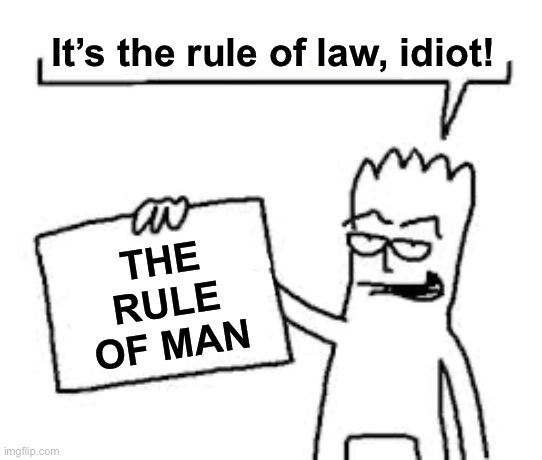 Incorrect Numbers | It’s the rule of law, idiot! THE RULE OF MAN | image tagged in law | made w/ Imgflip meme maker