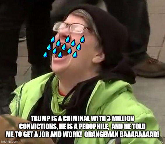 Crying liberal | TRUMP IS A CRIMINAL WITH 3 MILLION CONVICTIONS, HE IS A PEDOPHILE,  AND HE TOLD ME TO GET A JOB AND WORK!  ORANGEMAN BAAAAAAAAD! | image tagged in crying liberal | made w/ Imgflip meme maker