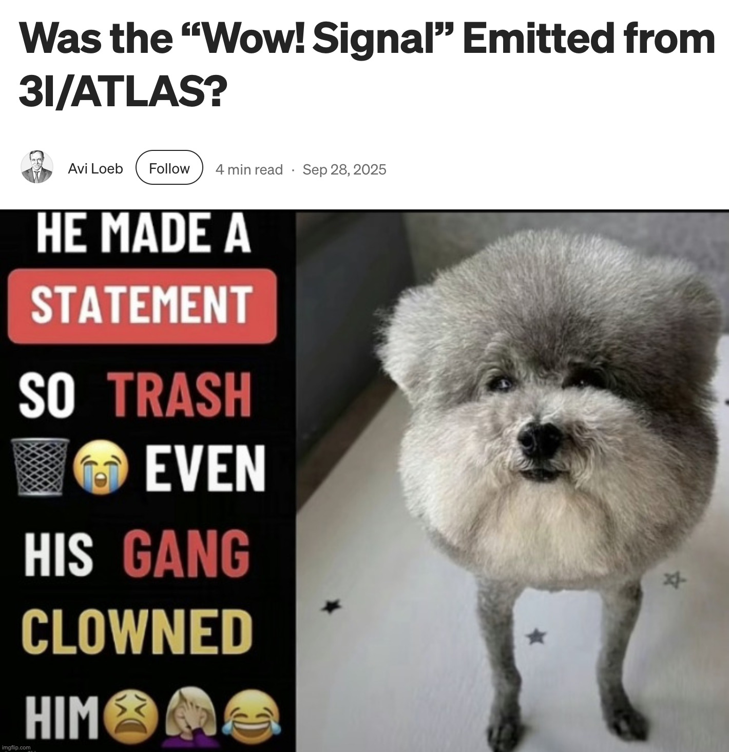 Avi loeb cannot be serious | image tagged in he made a statement so trash updated | made w/ Imgflip meme maker