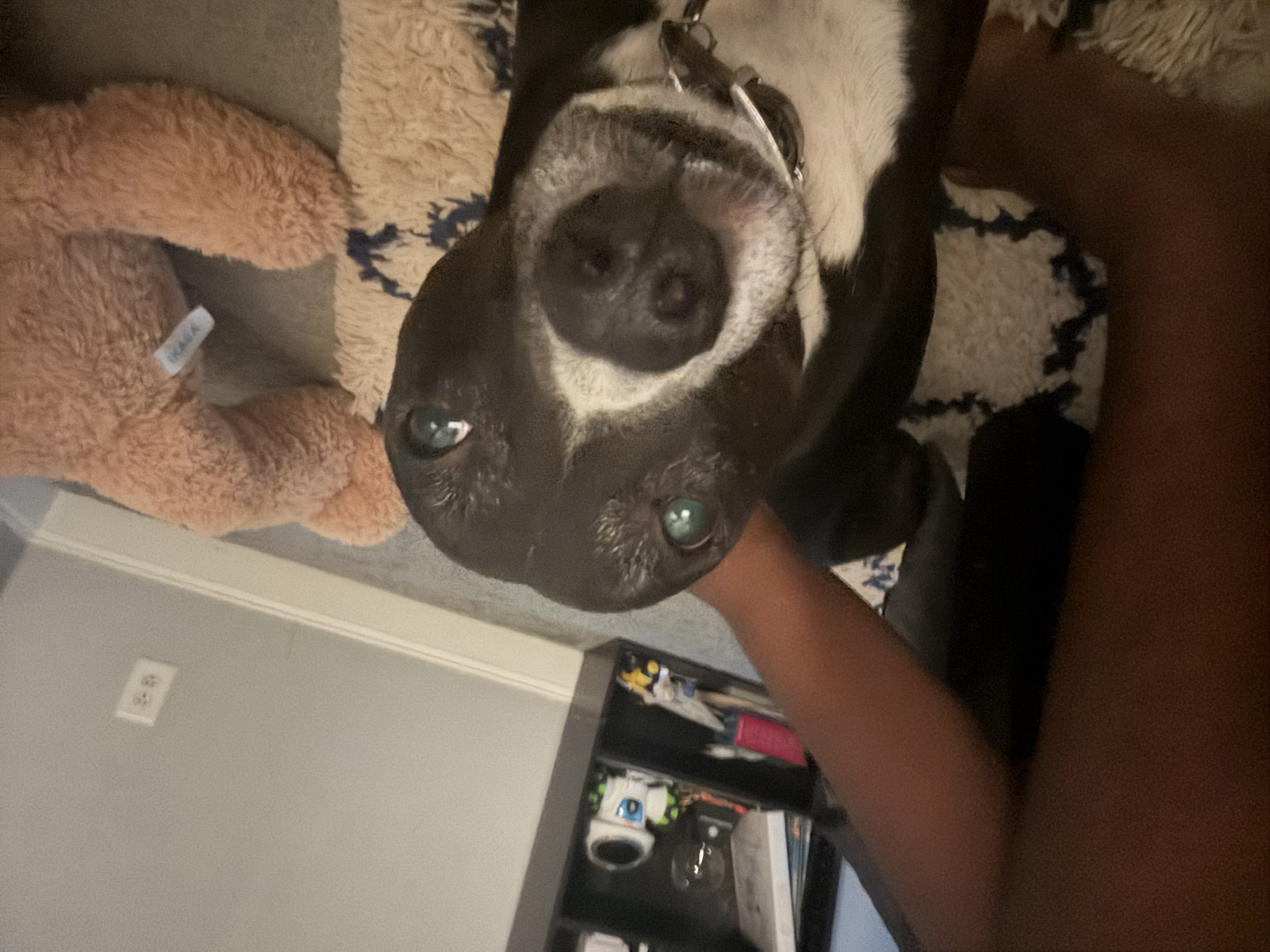 RA__IST Blank Meme Template