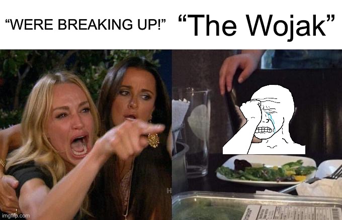 How it feels to break up with someone: | “WERE BREAKING UP!”; “The Wojak” | image tagged in memes,woman yelling at cat | made w/ Imgflip meme maker