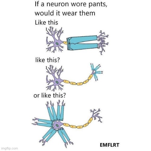 Important question | made w/ Imgflip meme maker