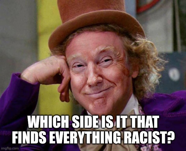 WHICH SIDE IS IT THAT FINDS EVERYTHING RACIST? | image tagged in donald trump willy wonka | made w/ Imgflip meme maker