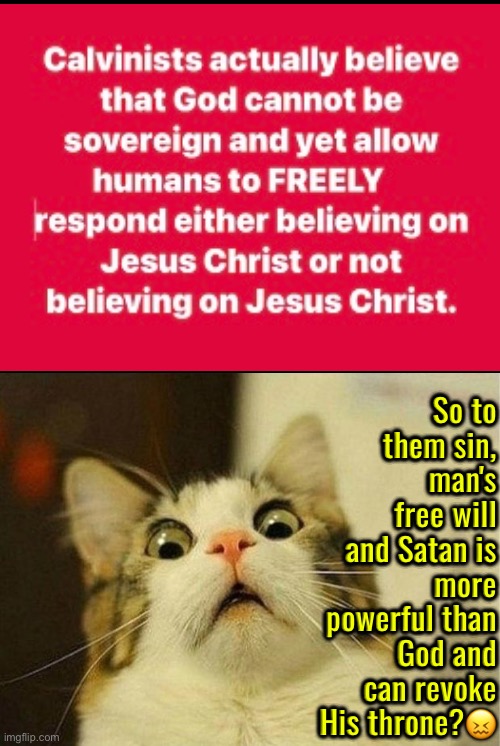 That Suggestion Itself Is Asinine | So to them sin, man's free will and Satan is more powerful than God and can revoke His throne?😖 | image tagged in scared cat,calvinism,free will,calvinist memes,anti calvinism,reformed theology is cheap | made w/ Imgflip meme maker