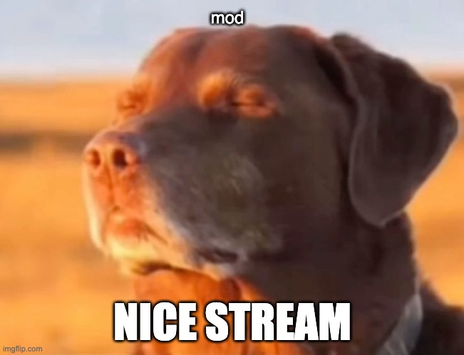 Let me know dog | mod; NICE STREAM | image tagged in let me know dog | made w/ Imgflip meme maker