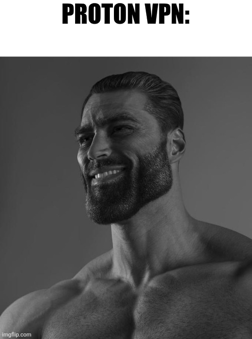 Sigma Male | PROTON VPN: | image tagged in sigma male | made w/ Imgflip meme maker