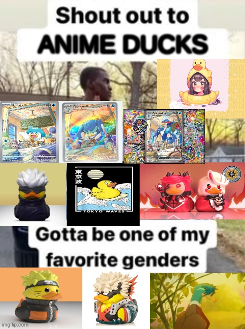 shout out to.... gotta be my favorite gender | ANIME DUCKS | image tagged in shout out to gotta be my favorite gender,duck,ducks,rubber ducks,anime | made w/ Imgflip meme maker