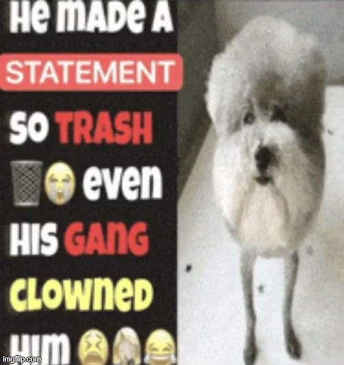 made w/ Imgflip meme maker