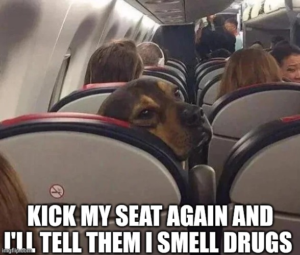 Kick My Seat Again And I'll Tell Them I Smell Drugs | KICK MY SEAT AGAIN AND I'LL TELL THEM I SMELL DRUGS | image tagged in chrisjoines1 | made w/ Imgflip meme maker
