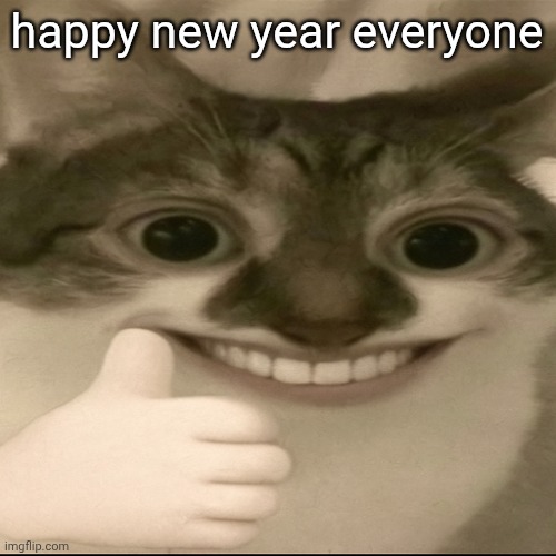 bombastic side eye cat v3 | happy new year everyone | image tagged in bombastic side eye cat v3 | made w/ Imgflip meme maker